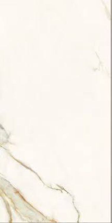 Time Dorado Matte 12 x 24